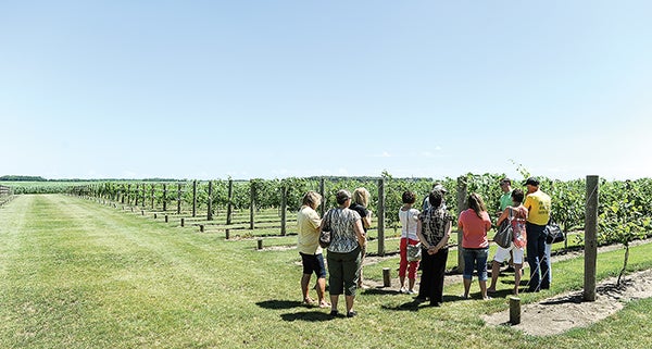 Patrick Sween gives a tour of the Four Daughters Winery vineyard to a group from the nutrient management company FHR Friday afternoon. Eric Johnson/photodesk@austindailyherald.com