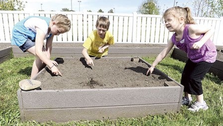 Ava Denze from left, Riley Haugen and Lily Schulz plant spinach seeds.