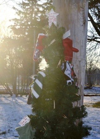 The tree is filled with mittens in various sizes from children to adults, made by an unknown good Samaritan, free for anyone in need of mittens.