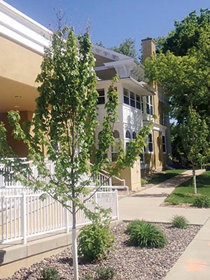 Trees were recently planted at the Hormel Historic Home on Arbor Day. Photo provided