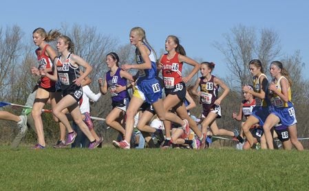 Austin’s Abby Lewis, left, runs amongst a pack of runners at the Minnesota Class AA state cross country meet in Northfield Saturday. Rocky Hulne/sports@austindailyherald.com