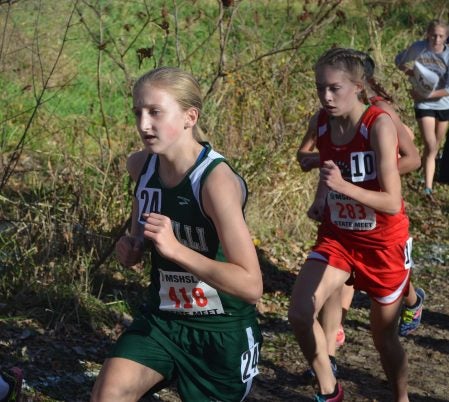 Pacelli’s Rory Bickler runs at the Minnesota Class A state cross country meet in Northfield Saturday. Rocky Hulne/sports@austindailyherald.com