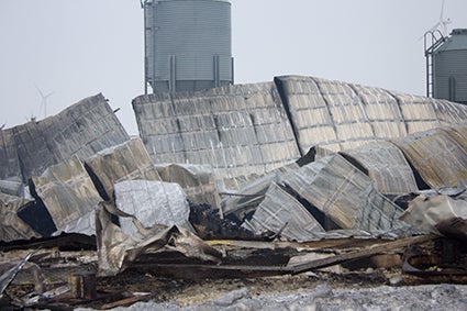 Approximately 7,500 to 8,000 pigs were killed Saturday after a pig barn fire southeast of Hartland. 