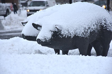 Snow piles on the pig statues outside the Spam Museum Friday morning after about 9 inches of snow overnight. 