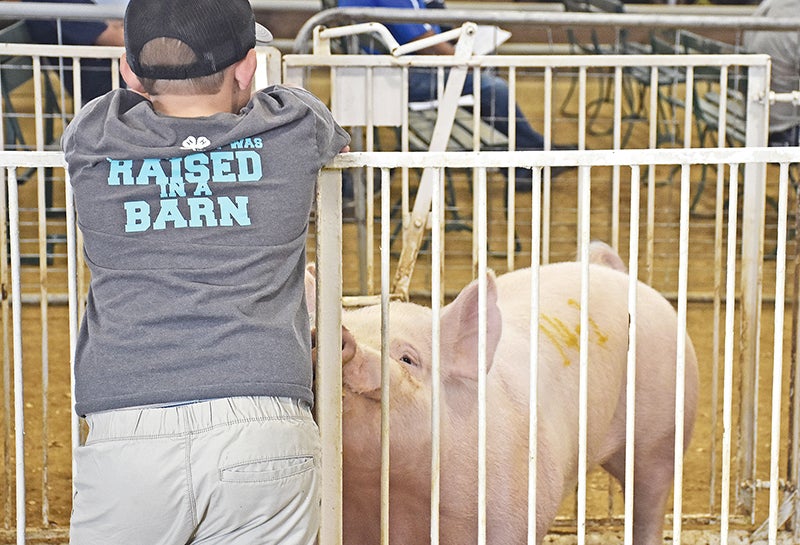 National Barrow show builds industry’s future; Blooming Prairie girl