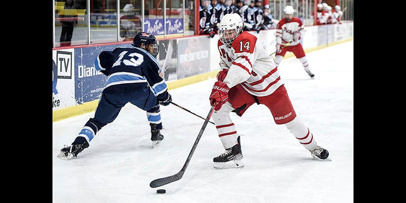 Boys hockey: Spartans down Packers - Austin Daily Herald