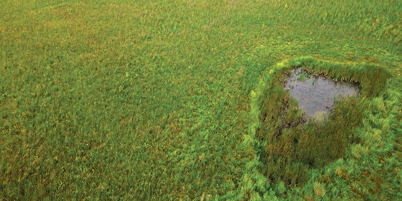 Record year for permanent conservation in Mower - Austin Daily Herald